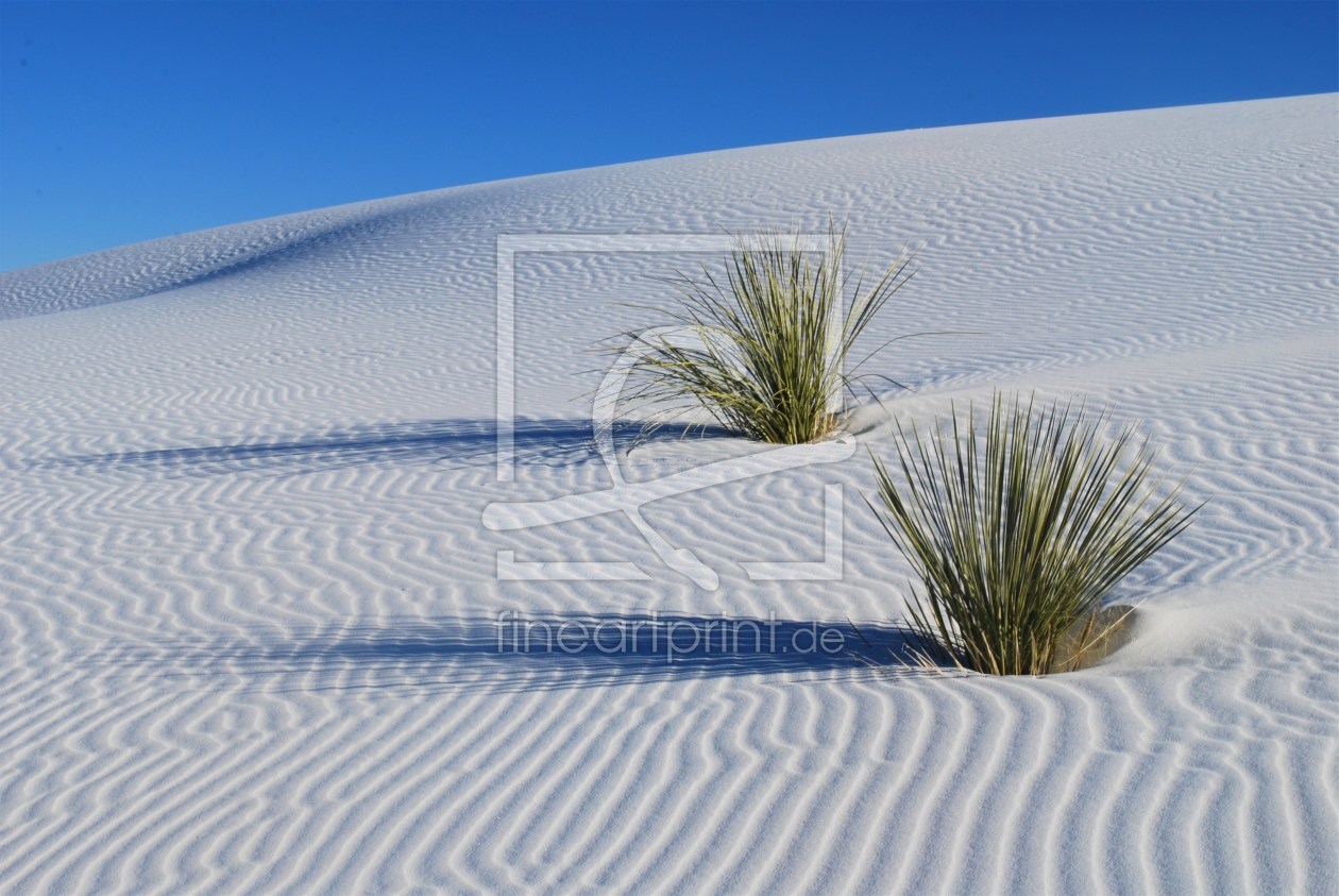 Bild-Nr.: 10385439 White Sands   erstellt von UCH