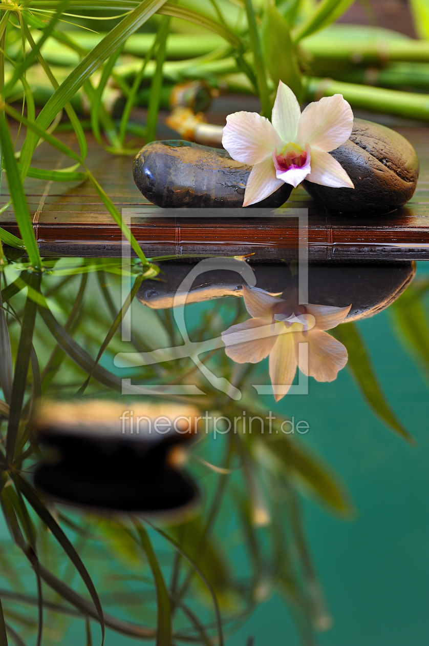 Bild-Nr.: 10385487 Orchidee Spiegelung erstellt von FineArtImages