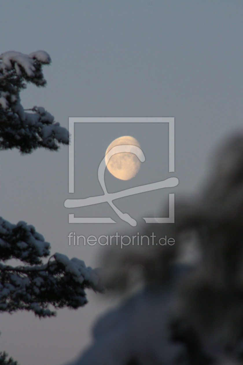 Bild-Nr.: 10389935 Wintermond erstellt von Stephanie Stephanie Dannecker