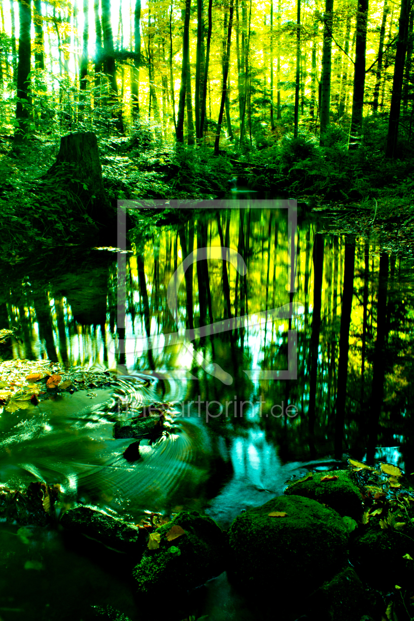 Bild-Nr.: 10390099 Herbstwald 3 erstellt von oliver steiner