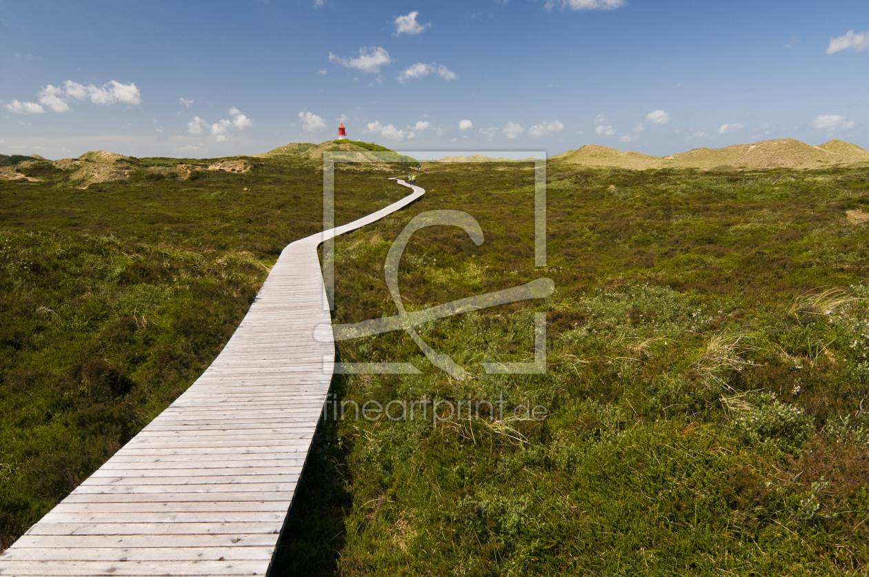 Bild-Nr.: 10392263 Weite auf Amrum erstellt von danielschoenen