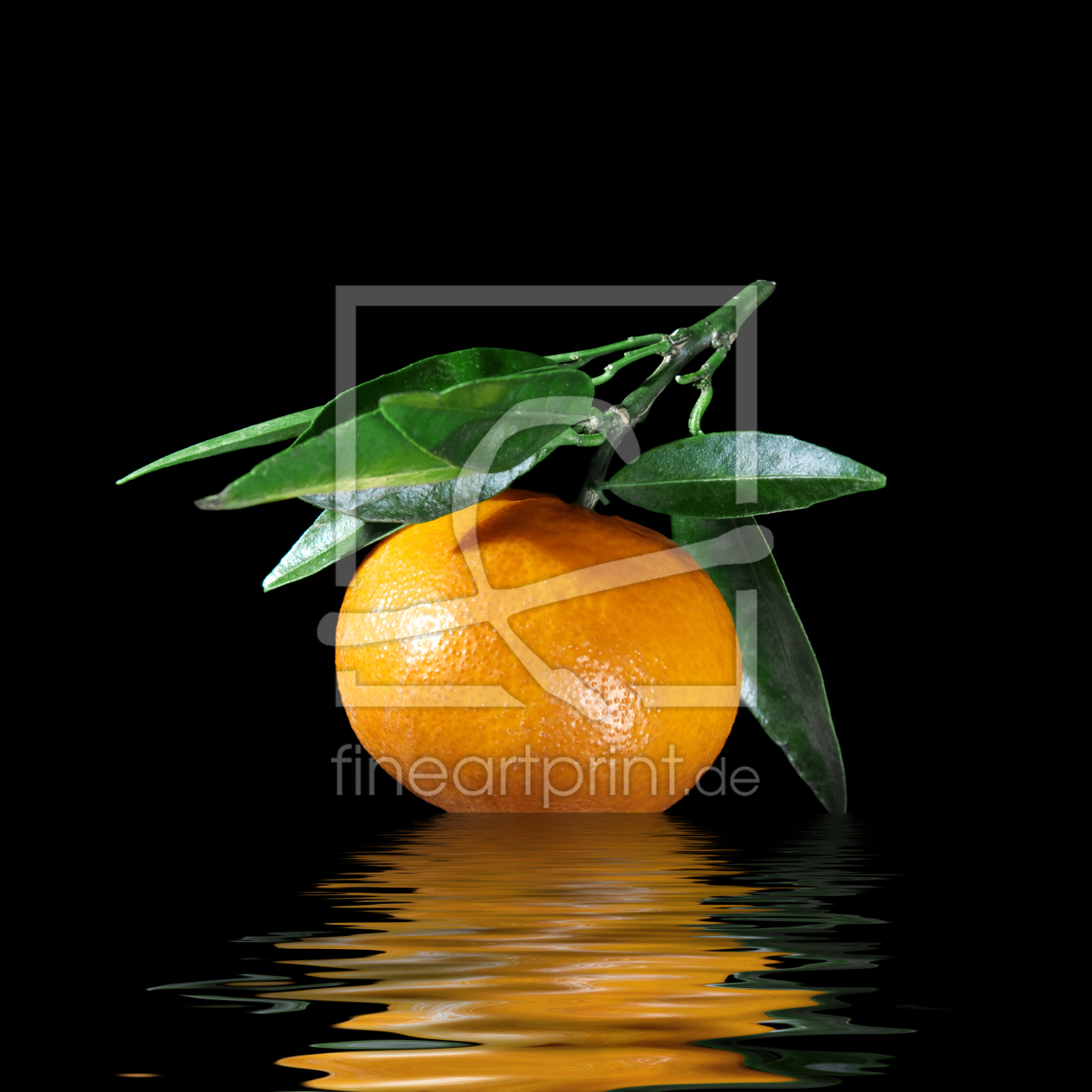 Bild-Nr.: 10392851 clementine II. erstellt von René de Brunn