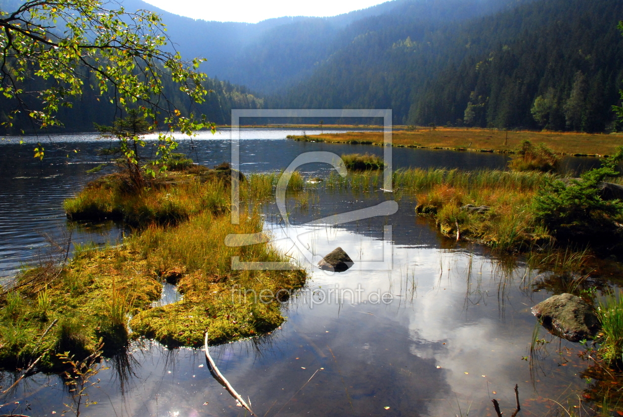 Bild-Nr.: 10393815 schwimmende Inseln erstellt von GUGIGEI