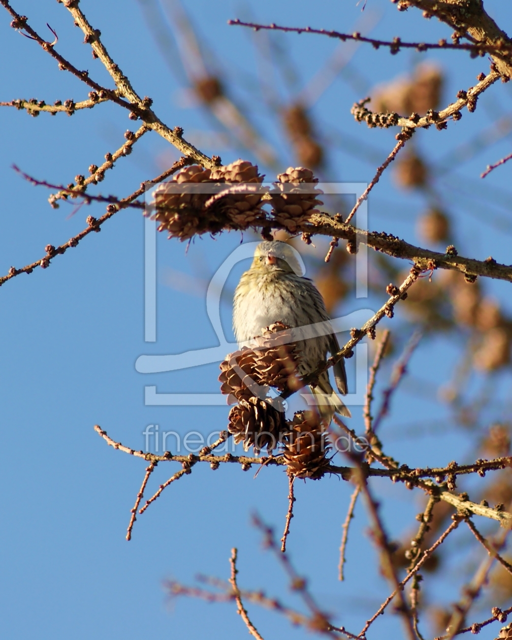 Bild-Nr.: 10396091 Spring erstellt von youhaveadream