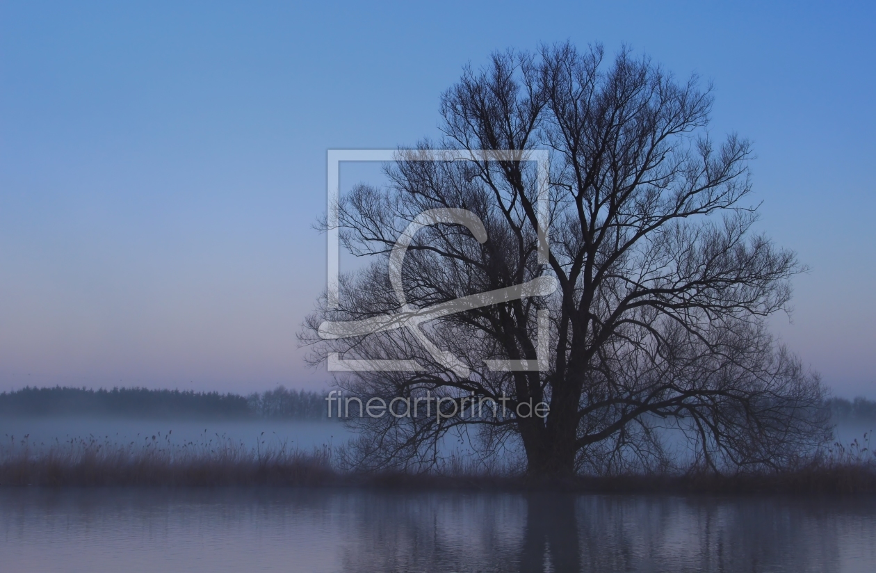 Bild-Nr.: 10396237 Baum im Nebel erstellt von falconer59