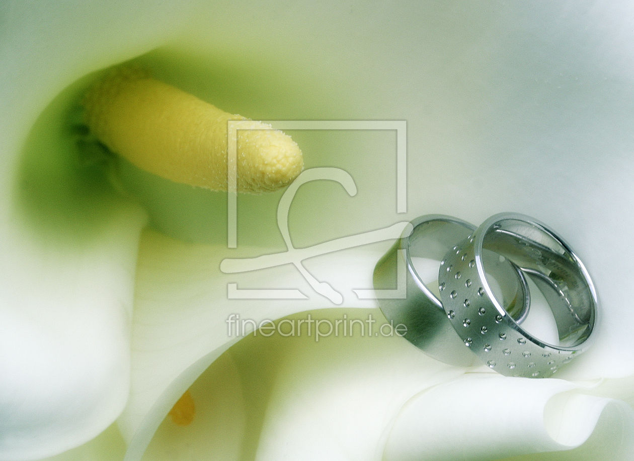 Bild-Nr.: 10397995 Hochzeitsringe erstellt von BeckstagePhotography