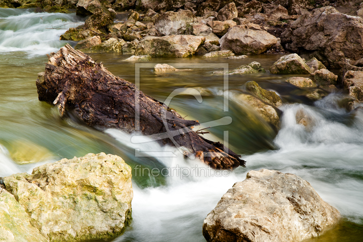 Bild-Nr.: 10406369 0007 - entlang der donau erstellt von danielboeswald