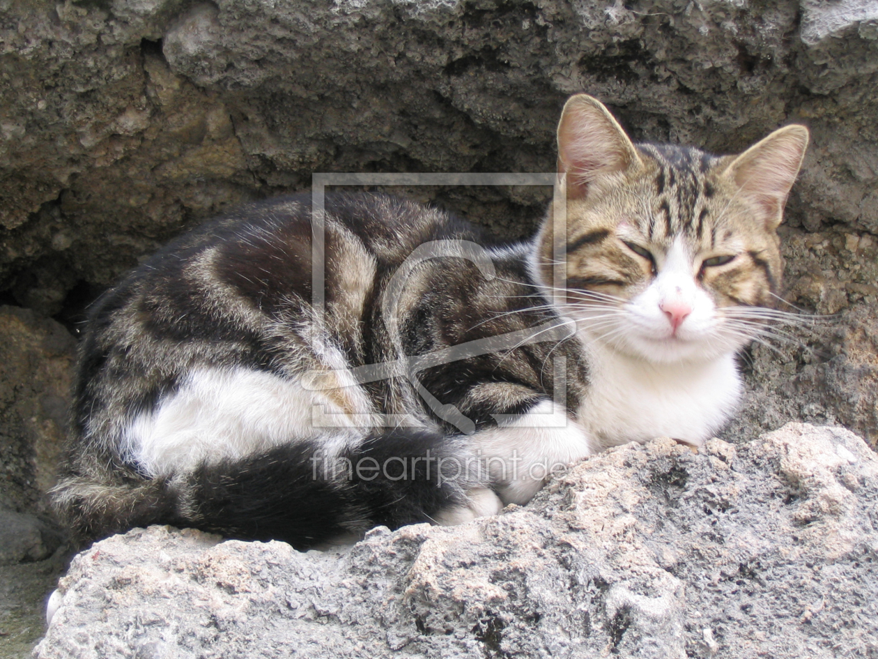 Bild-Nr.: 10408311 Katze in Stein erstellt von stone12683