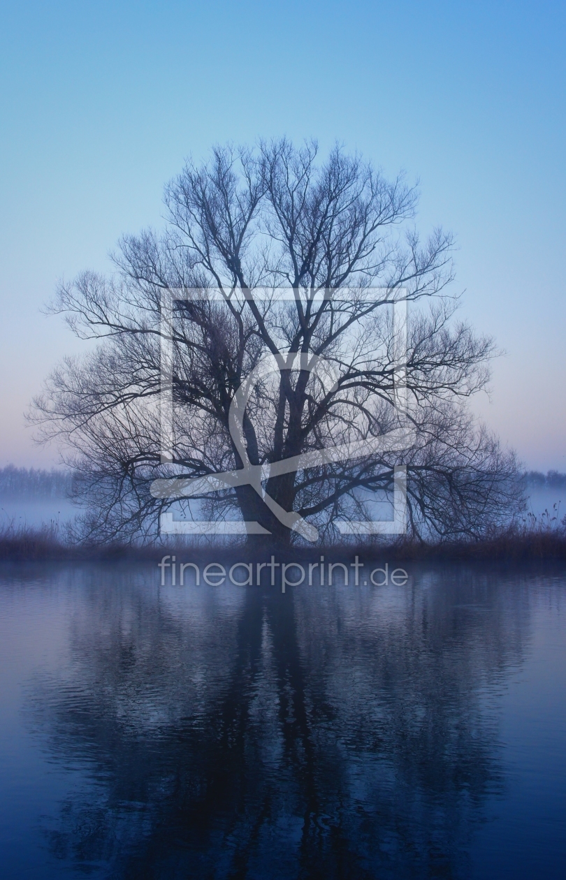Bild-Nr.: 10410405 Baum am Fluß erstellt von falconer59
