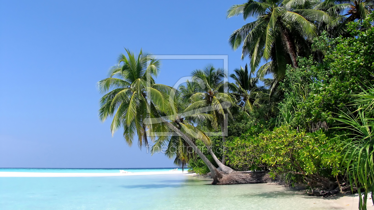 Bild-Nr.: 10414513 Palm tree , white beach and the ocean erstellt von Circumnavigation