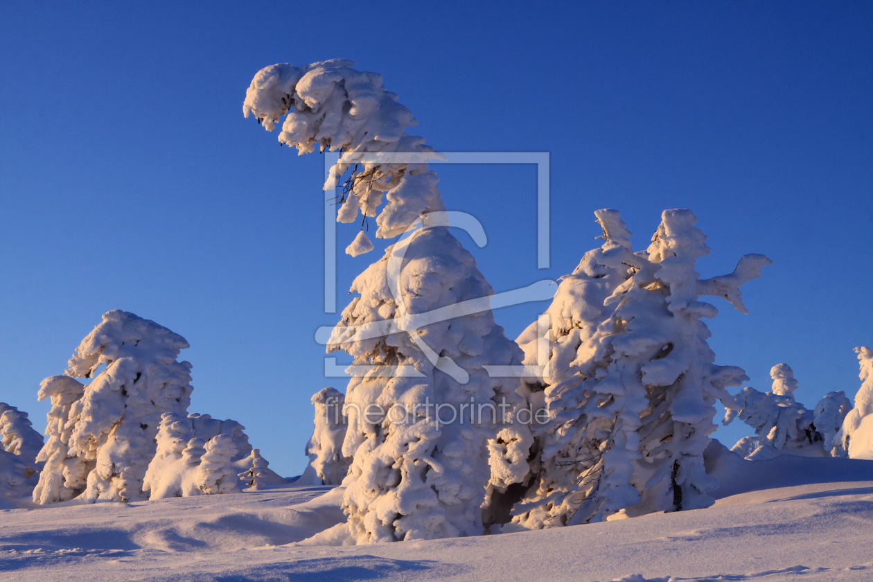 Bild-Nr.: 10419567 Verschneite Winterlandschaft am Brocken erstellt von BilderWerkstatt