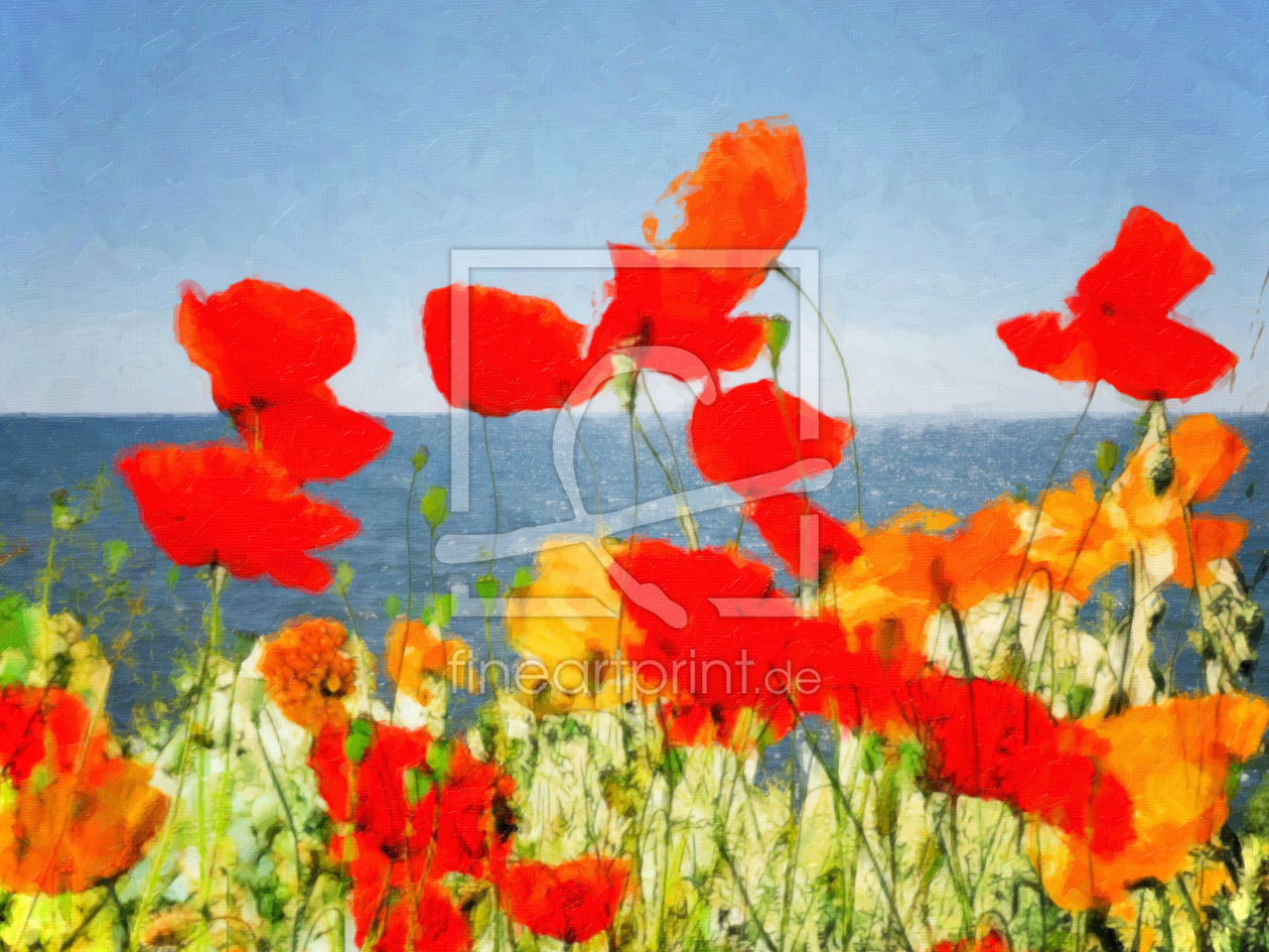 Bild-Nr.: 10421525 Mohn Impression erstellt von Galerie-Fotoeffekt