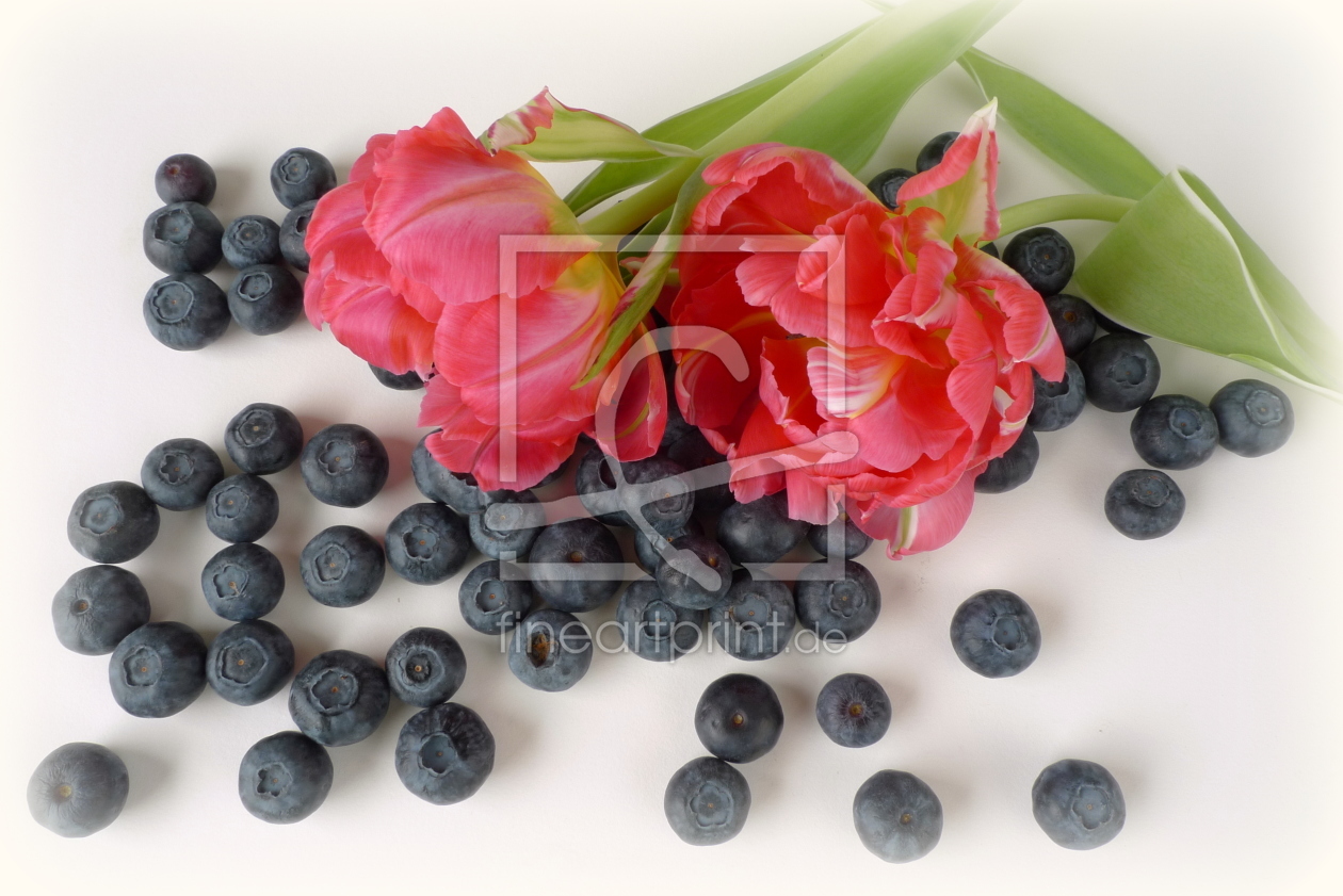 Bild-Nr.: 10423151 Blüten und Früchte erstellt von Rolf Eschbach