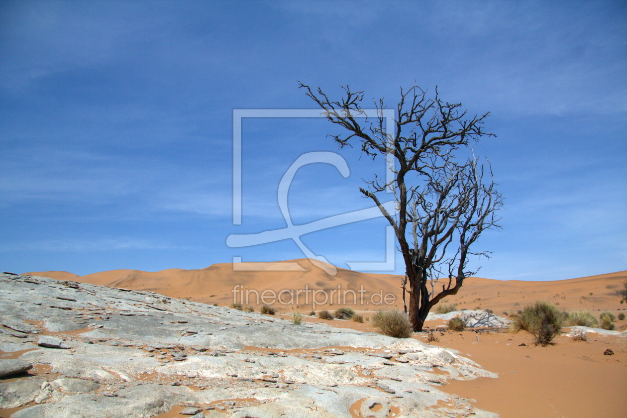 Bild-Nr.: 10424057 Toter Baum in der Namib erstellt von Helbig