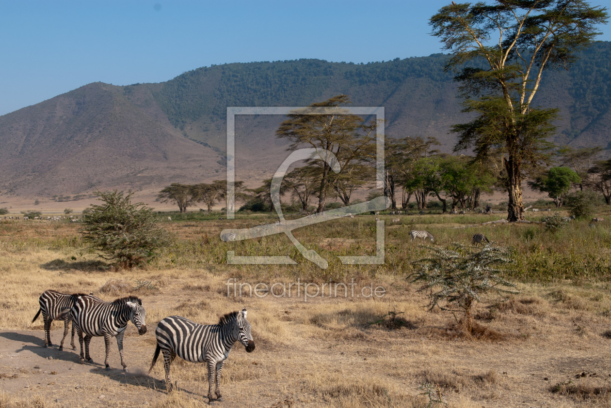 Bild-Nr.: 10427001 Ngorongoro Krater erstellt von wcezanne