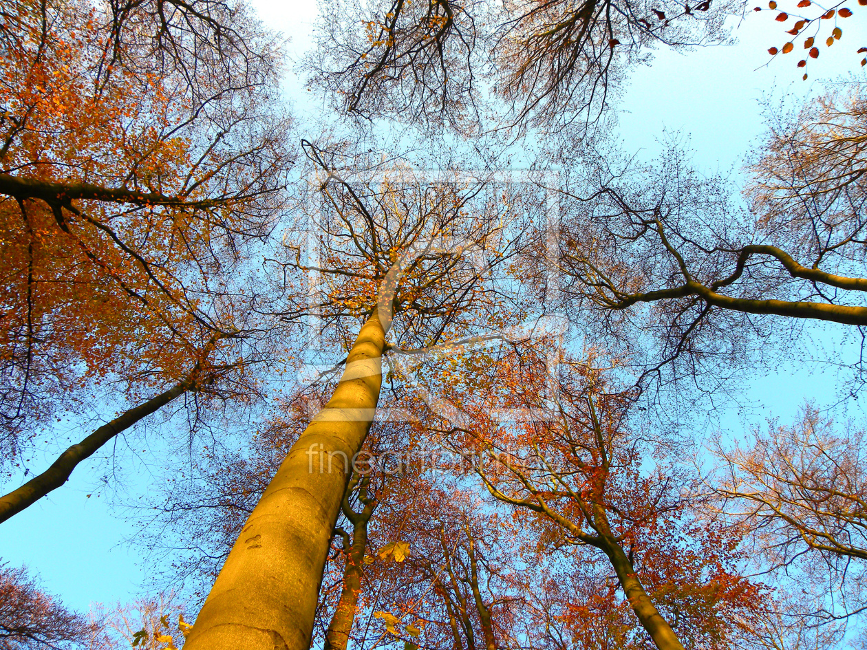 Bild-Nr.: 10429677 Up in the sky erstellt von Maike Straßburg