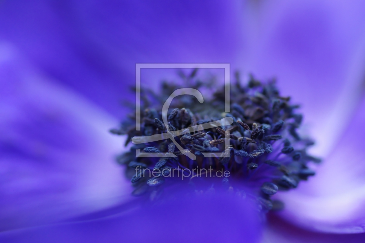 Bild-Nr.: 10441386 Blue Dreams Bild-Nr.: 10441386 Blue Dreams erstellt von youhaveadream