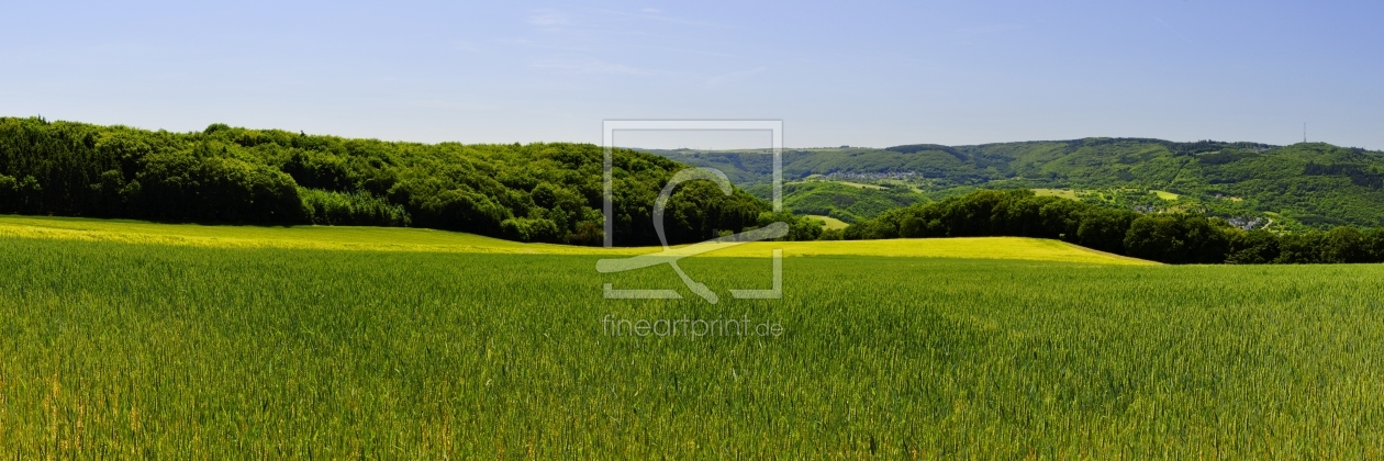 Bild-Nr.: 10441980 Weizenfeld-Panorama 3:1 (4n) erstellt von Erhard Hess