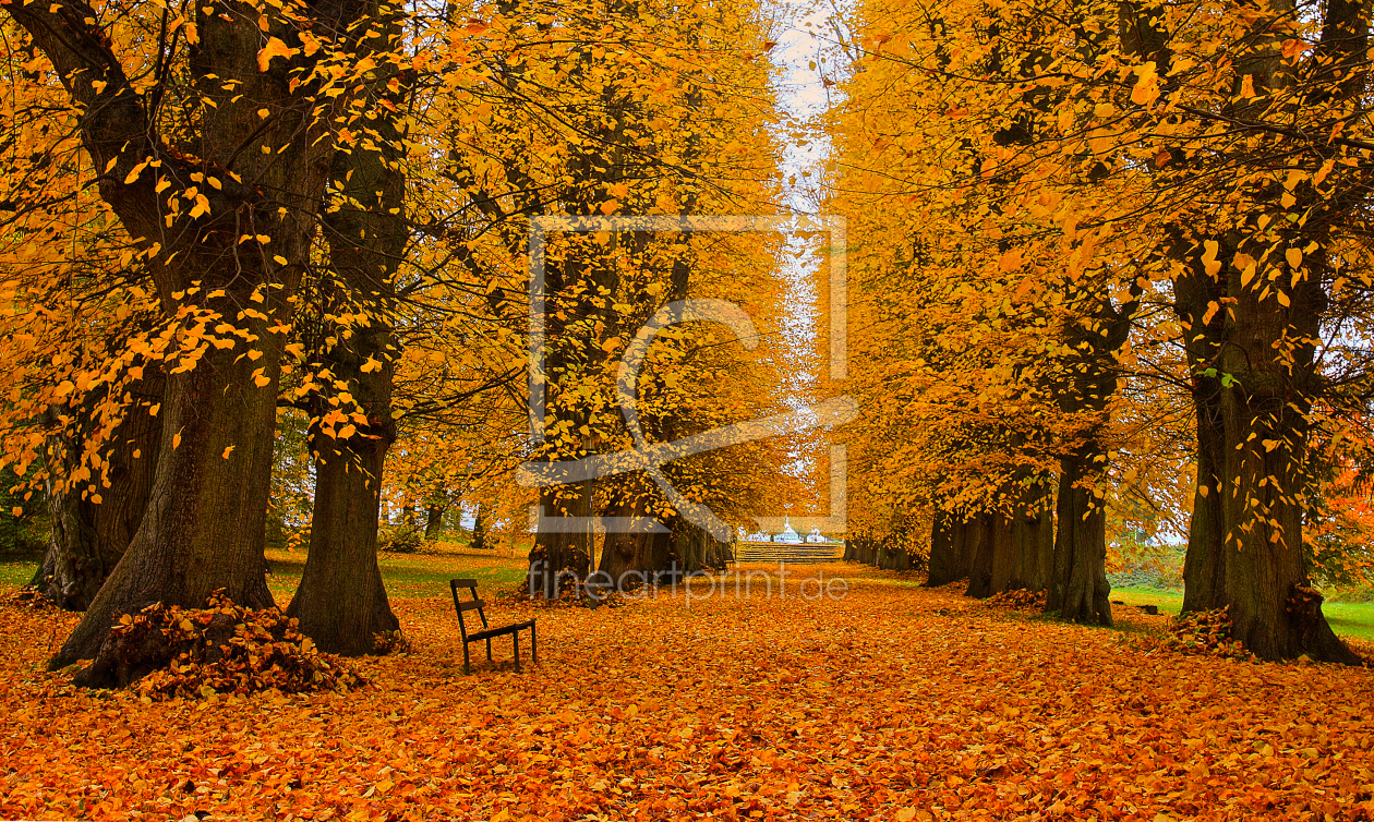 Bild-Nr.: 10443930 Herbstallee erstellt von Kibo