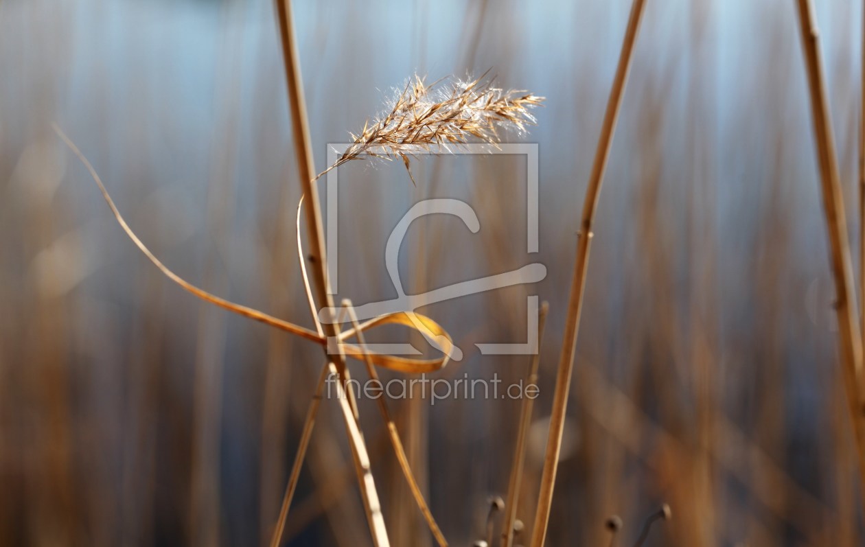 Bild-Nr.: 10444908 Naturschleife erstellt von Renate Knapp