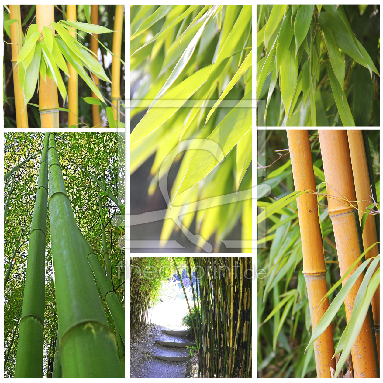 Bild-Nr.: 10445572 Bambus-Collage 2 erstellt von SusaZoom