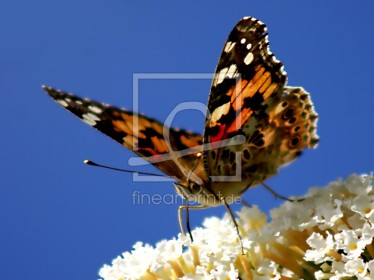 Bild-Nr.: 10447176 Coming soon.... erstellt von youhaveadream