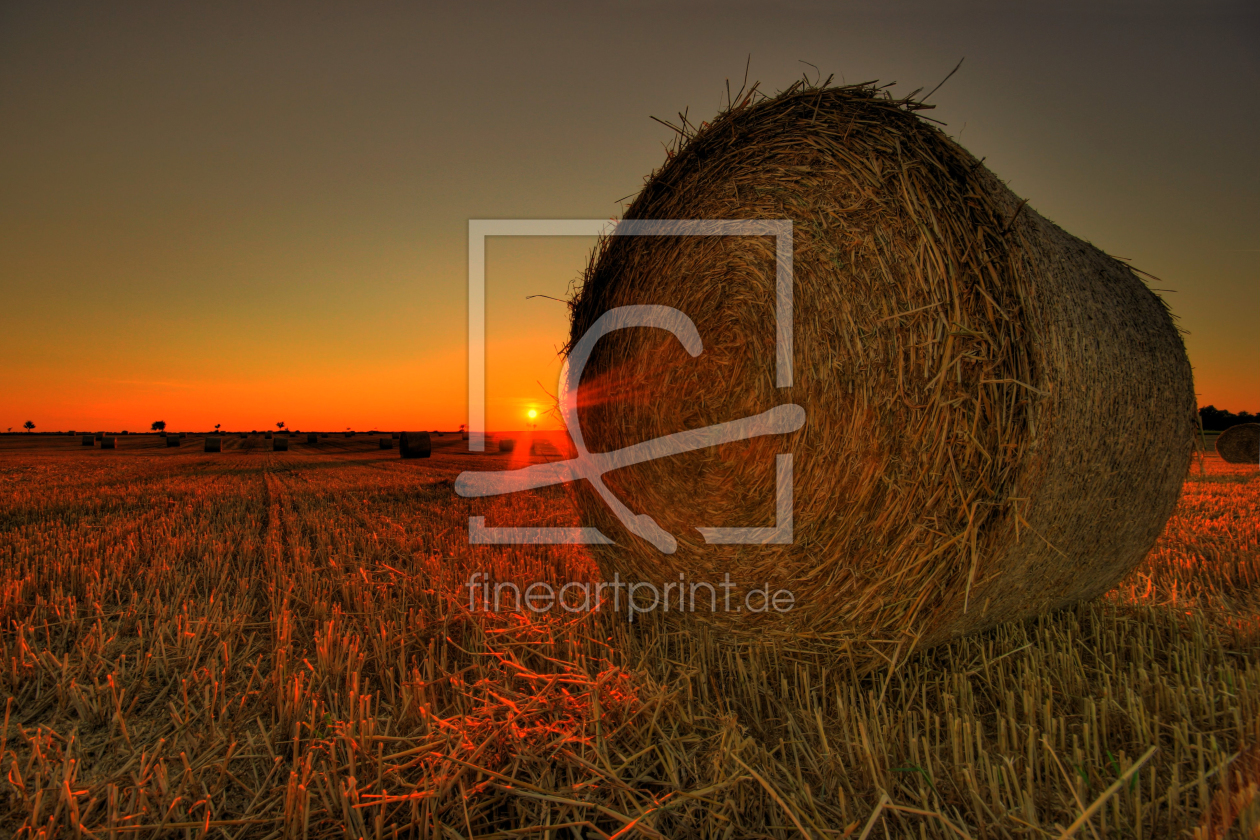 Bild-Nr.: 10447774 Rundballen erstellt von PhotoArt-Hartmann