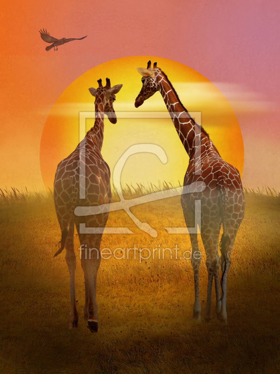 Bild-Nr.: 10454236 Zwei Giraffen am Morgen erstellt von Mausopardia