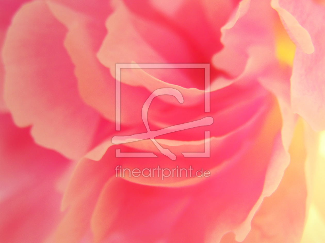 Bild-Nr.: 10458458 blütenwirbel - curling blossom erstellt von augenWerk
