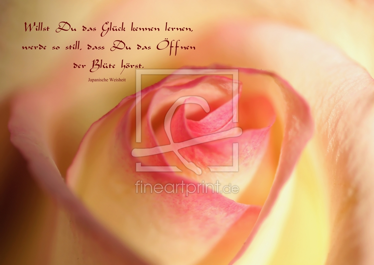 Bild-Nr.: 10460868 Rose erstellt von youhaveadream