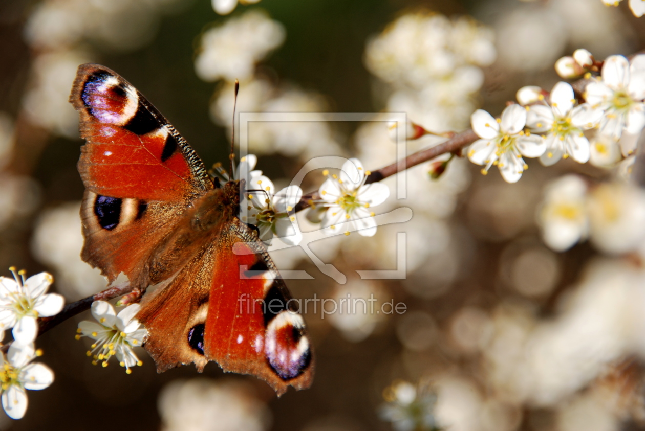 Bild-Nr.: 10461644 Springtime erstellt von GUGIGEI