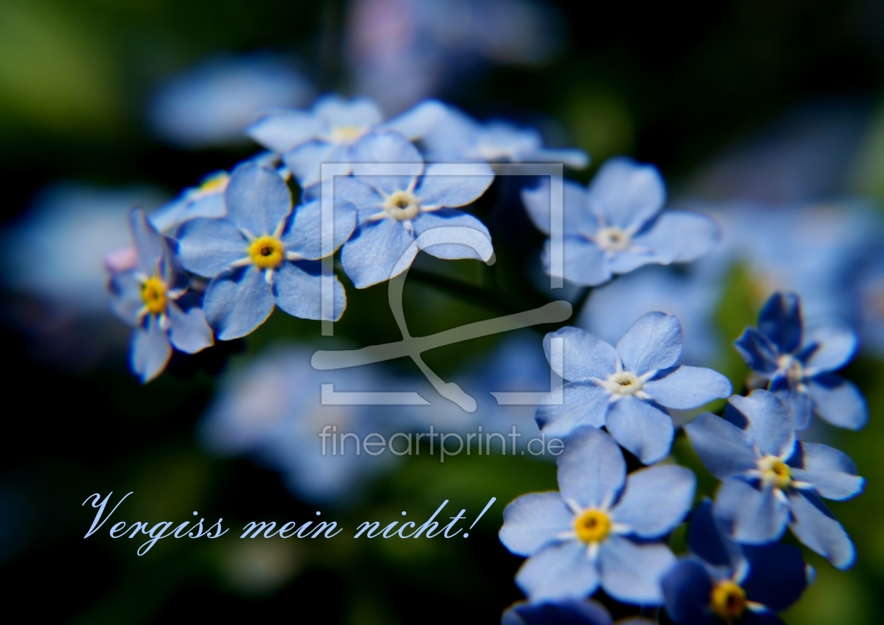 Bild-Nr.: 10462708 Remember erstellt von youhaveadream