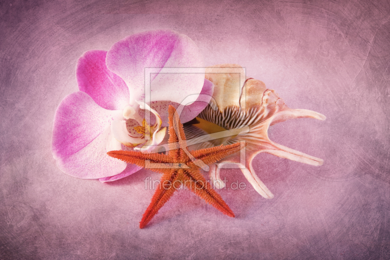 Bild-Nr.: 10462988 Pink Beauty erstellt von Steffen Gierok