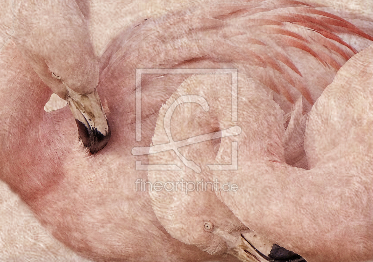 Bild-Nr.: 10468798 La tendresse erstellt von Birgit Presser
