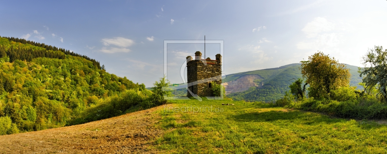 Bild-Nr.: 10469514 Burg-Ruine Schöneck (4n) erstellt von Erhard Hess