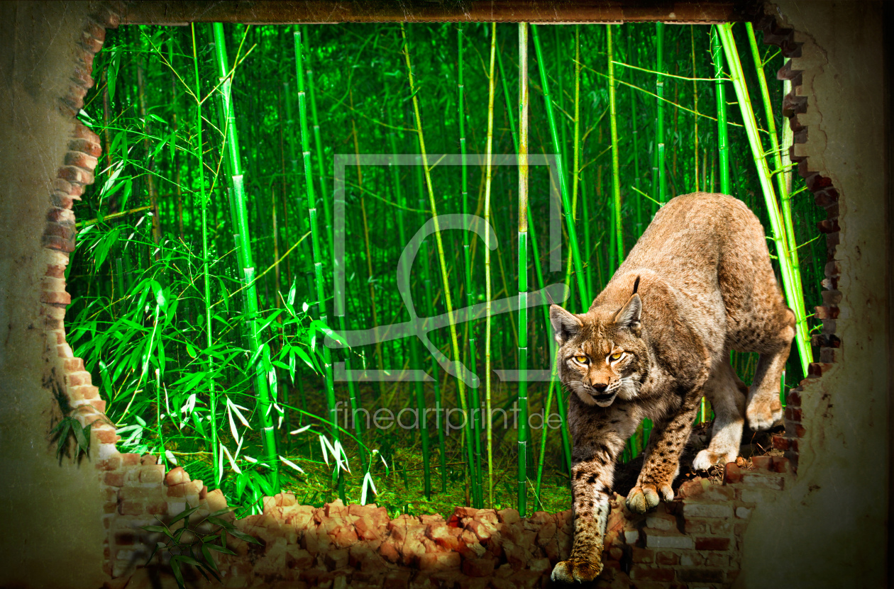 Bild-Nr.: 10469606 Welcome Lynx erstellt von wmoll