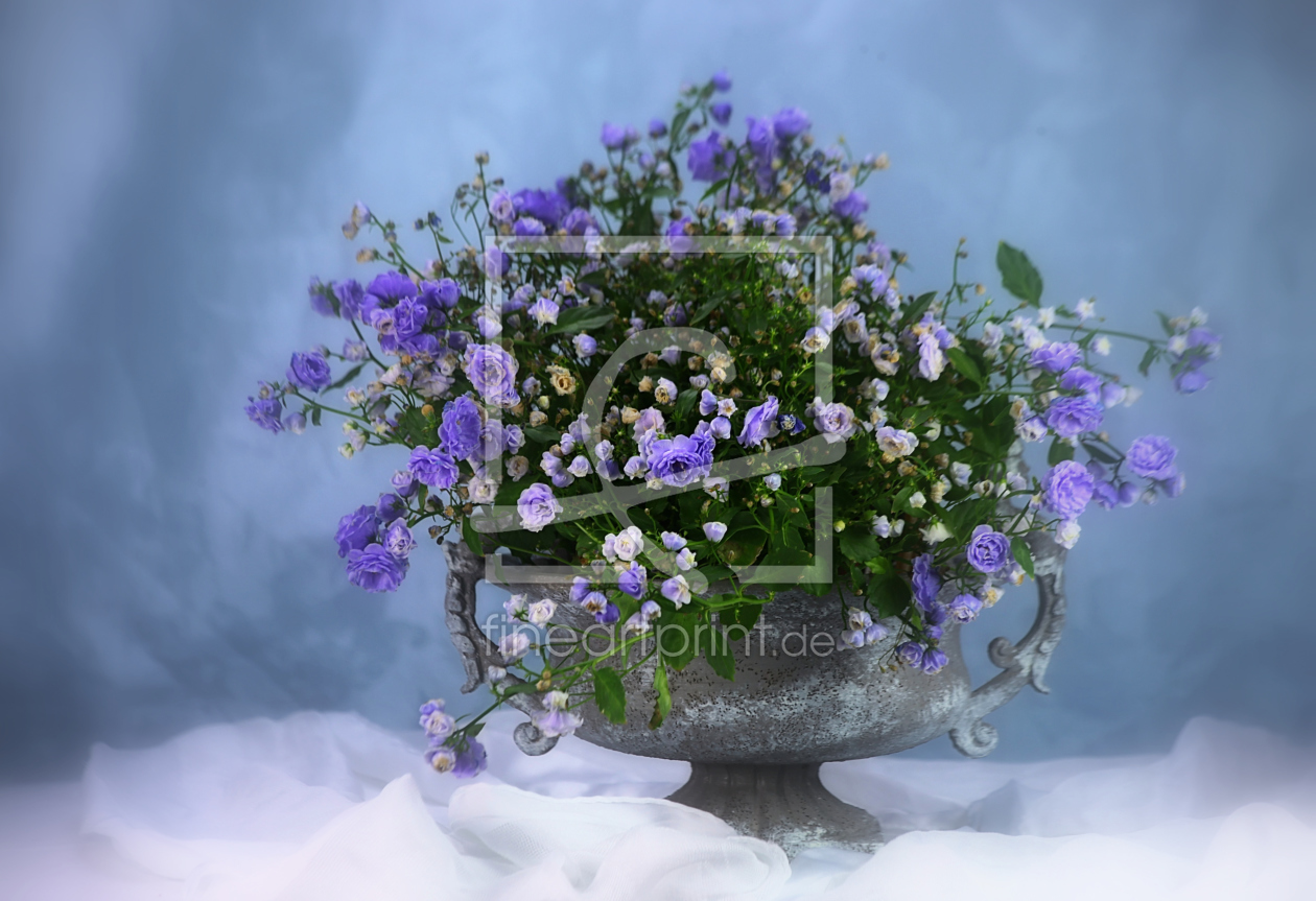 Bild-Nr.: 10472022 Blue Picture erstellt von Renate Knapp