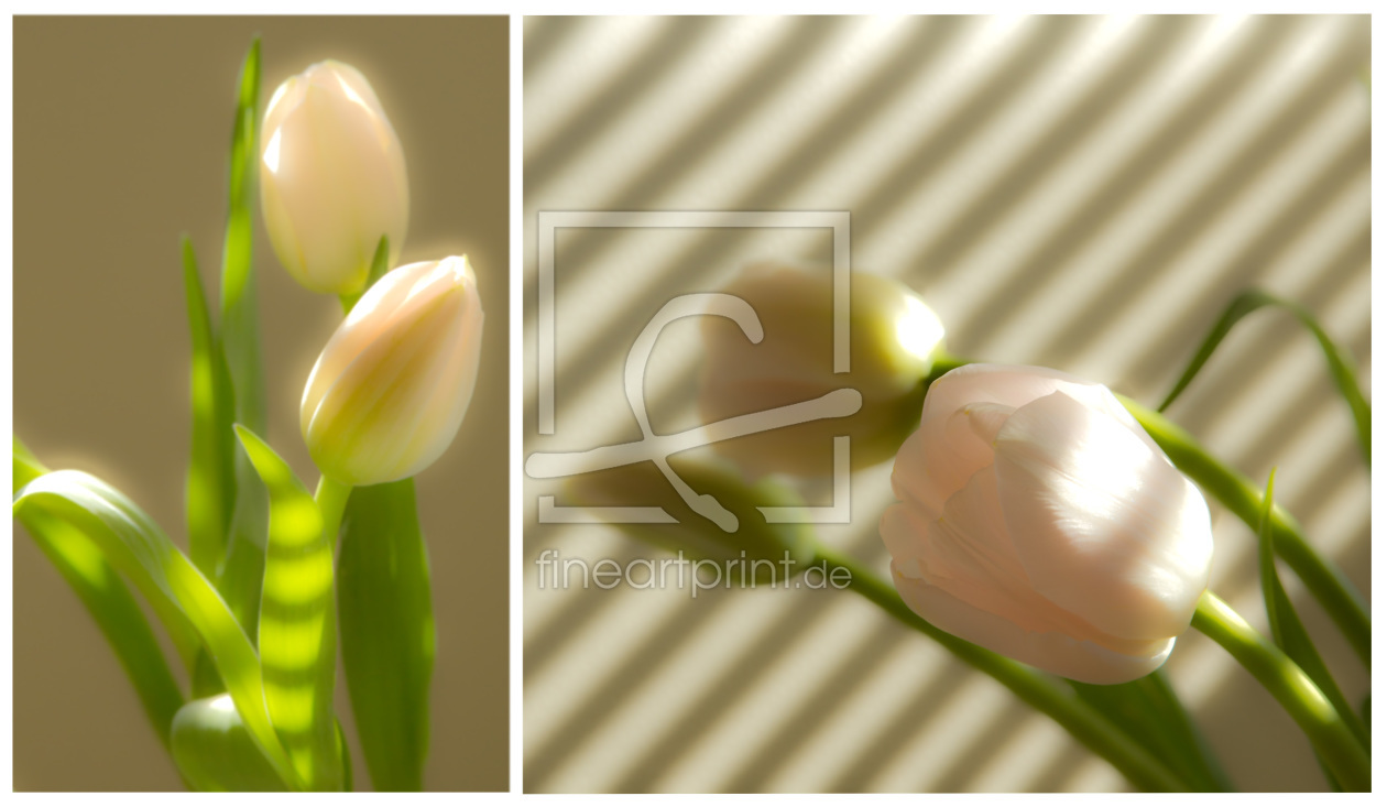 Bild-Nr.: 10473854 Tulpen in ungewöhnlichem Licht erstellt von OmSchi
