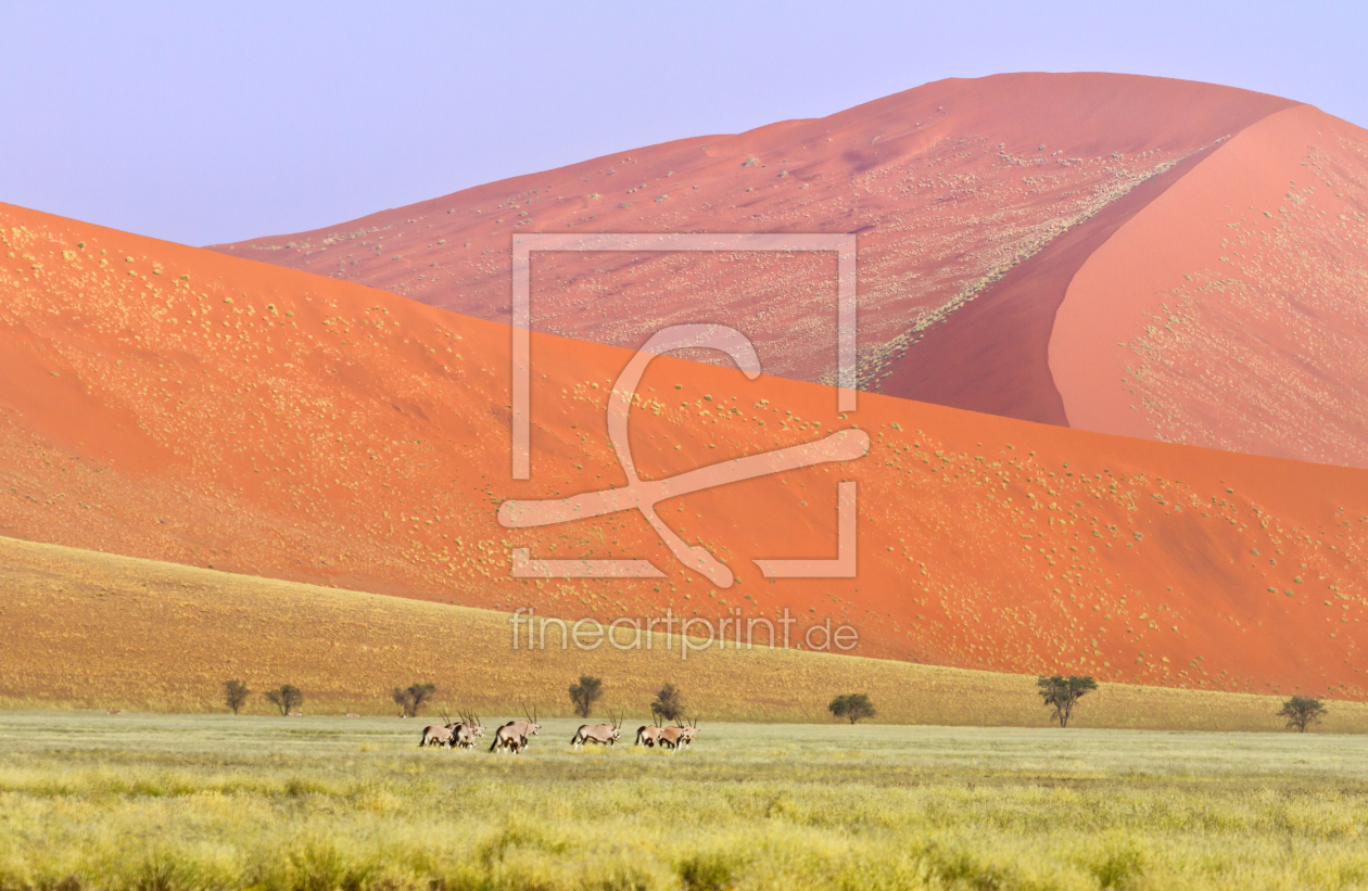 Bild-Nr.: 10478630 Oryx in der Namibwüste erstellt von janschuler