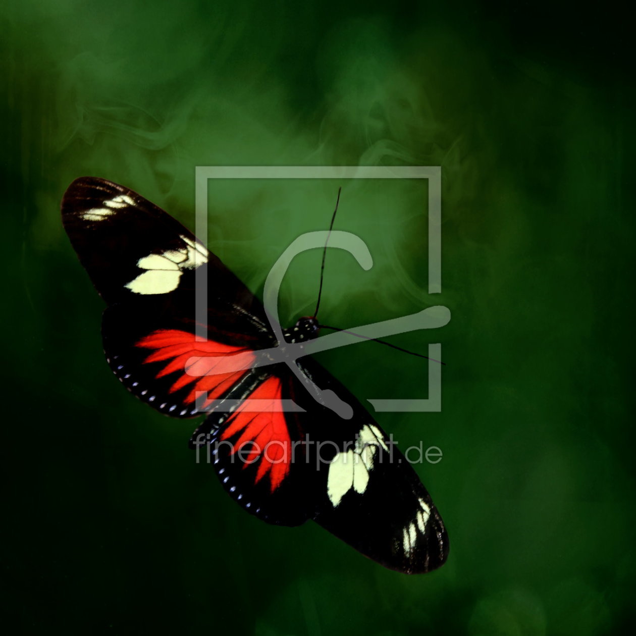 Bild-Nr.: 10478804 Schmetterling erstellt von Heike Hultsch