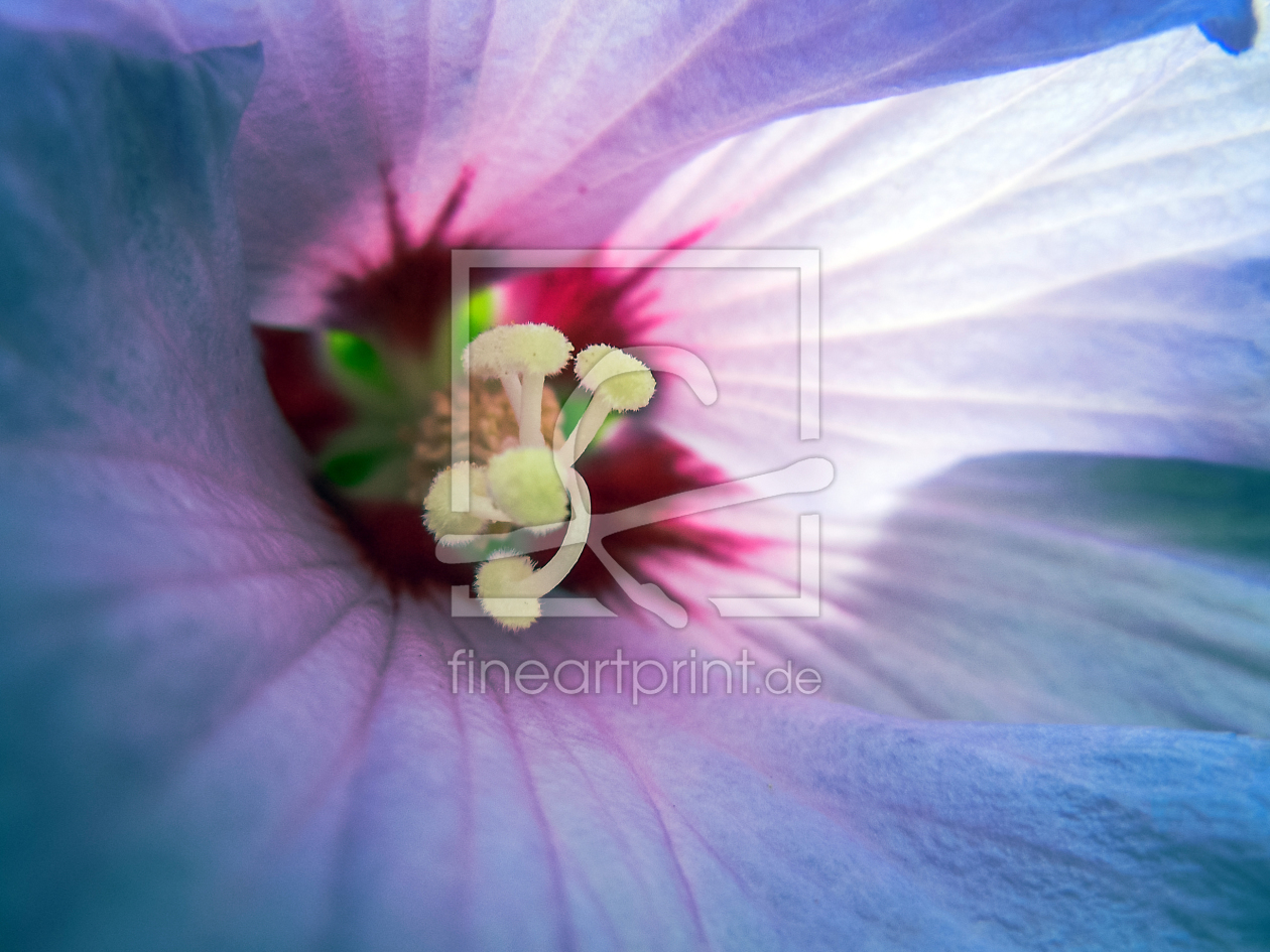 Bild-Nr.: 10481042 Blütentraum erstellt von wompus
