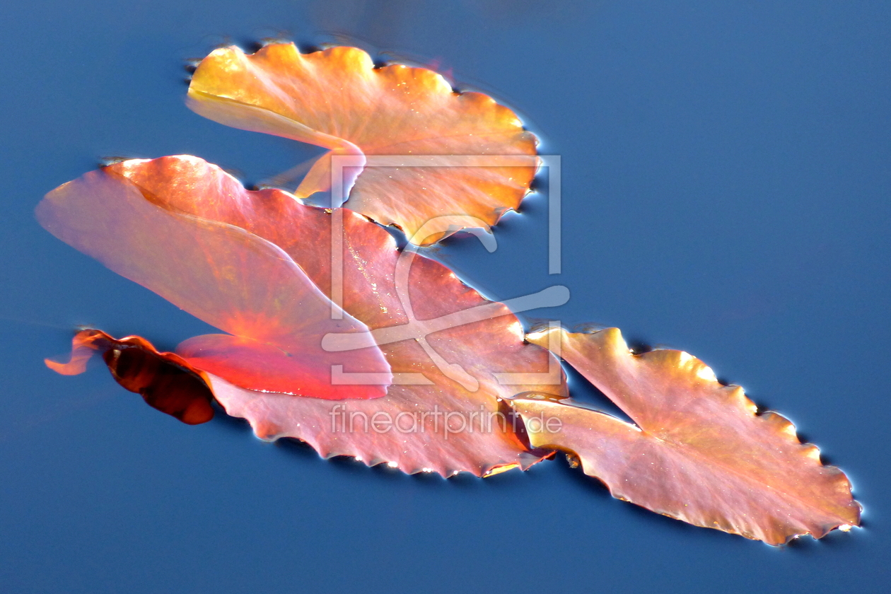 Bild-Nr.: 10483574 Der Frühling naht erstellt von Ostfriese