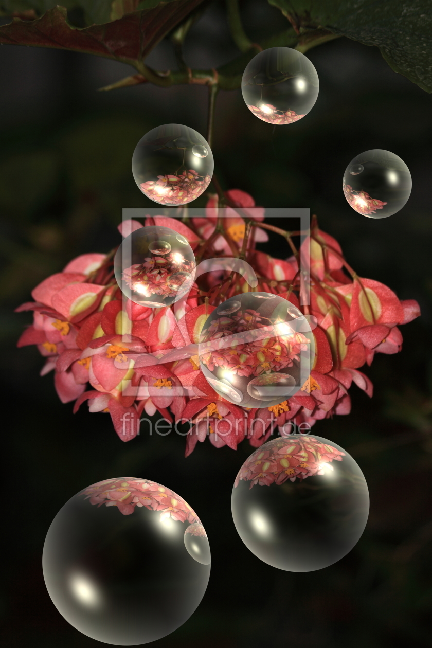 Bild-Nr.: 10484894 Blütenpracht erstellt von affrey
