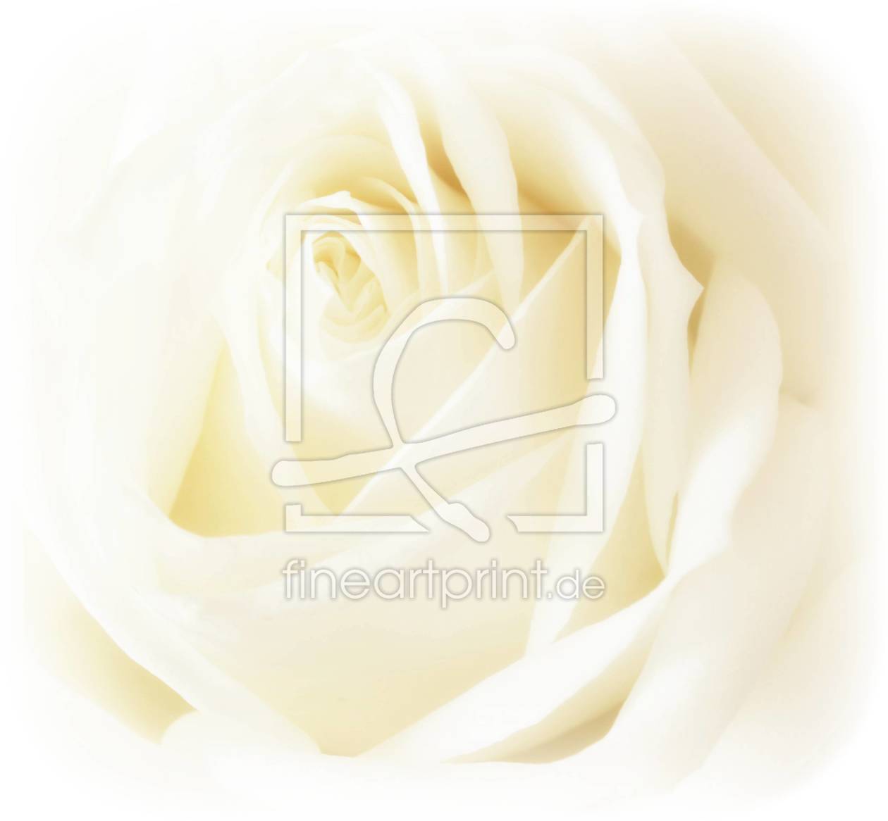 Bild-Nr.: 10487946 romantik rose erstellt von Caras
