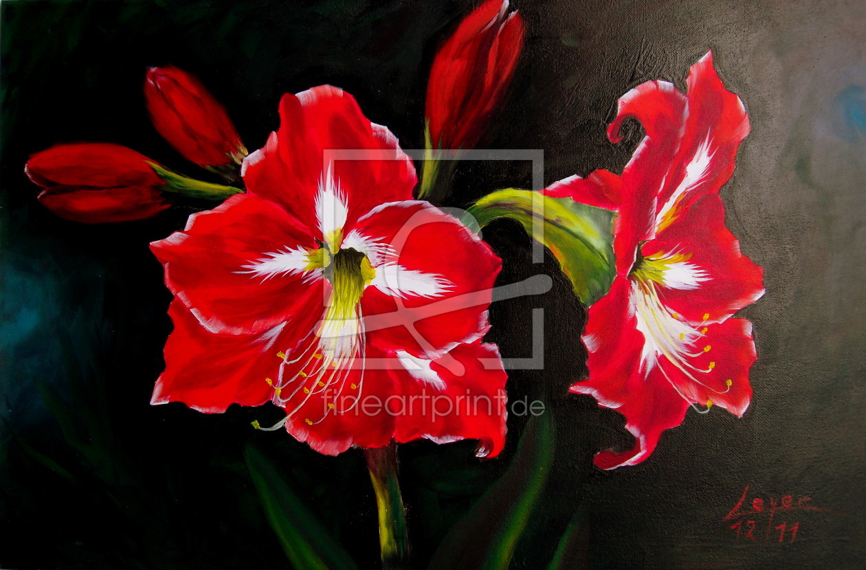 Bild-Nr.: 10489206 Amaryllis erstellt von GalerieLeyer