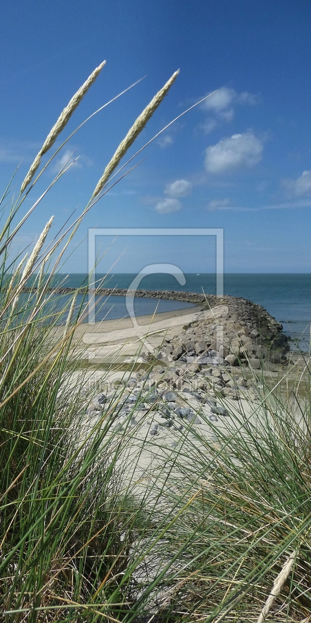 Bild-Nr.: 10490242 Blick aus Düne auf Buhne erstellt von Susanne Herppich