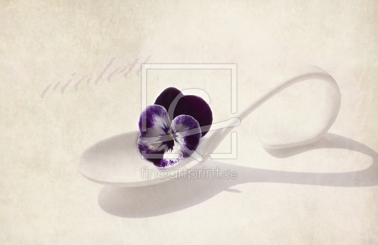 Bild-Nr.: 10491286 violett erstellt von Moruga