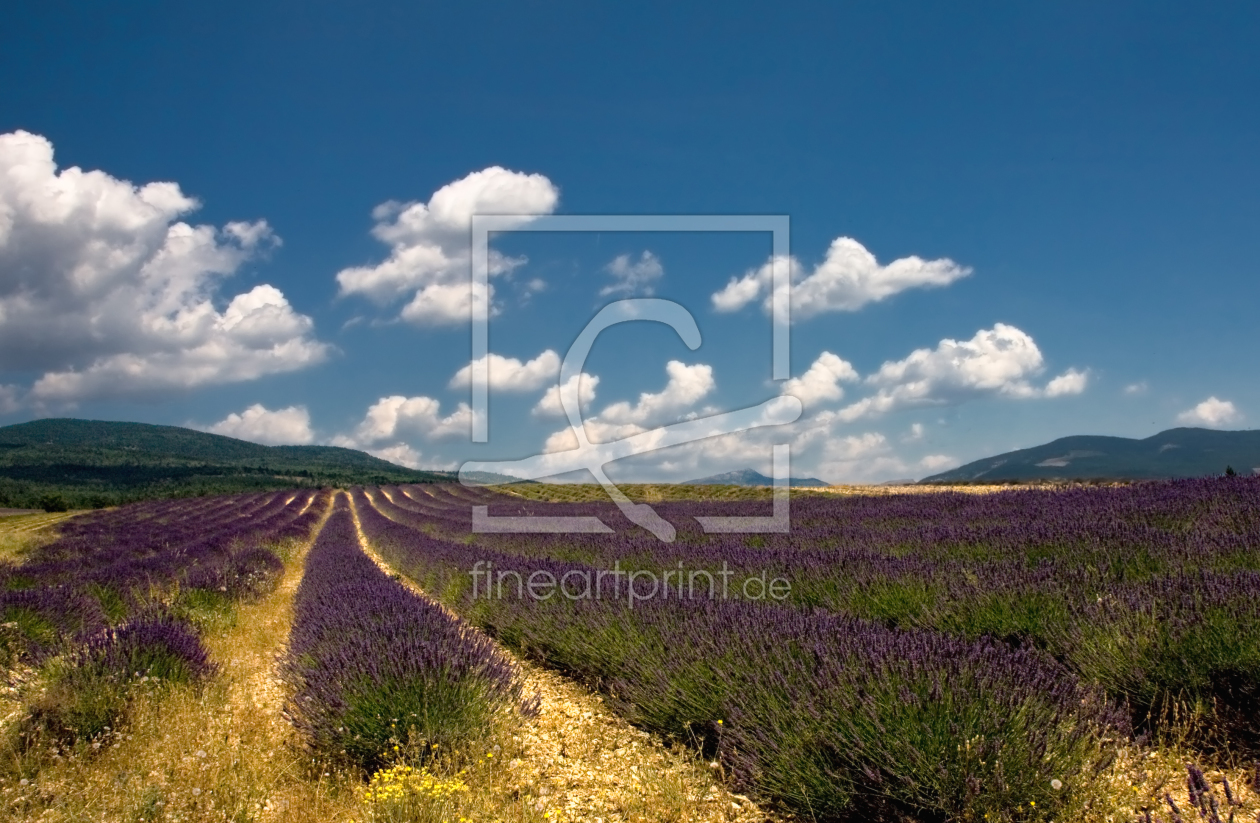 Bild-Nr.: 10493611 lavendelfeld -valensole erstellt von rokla