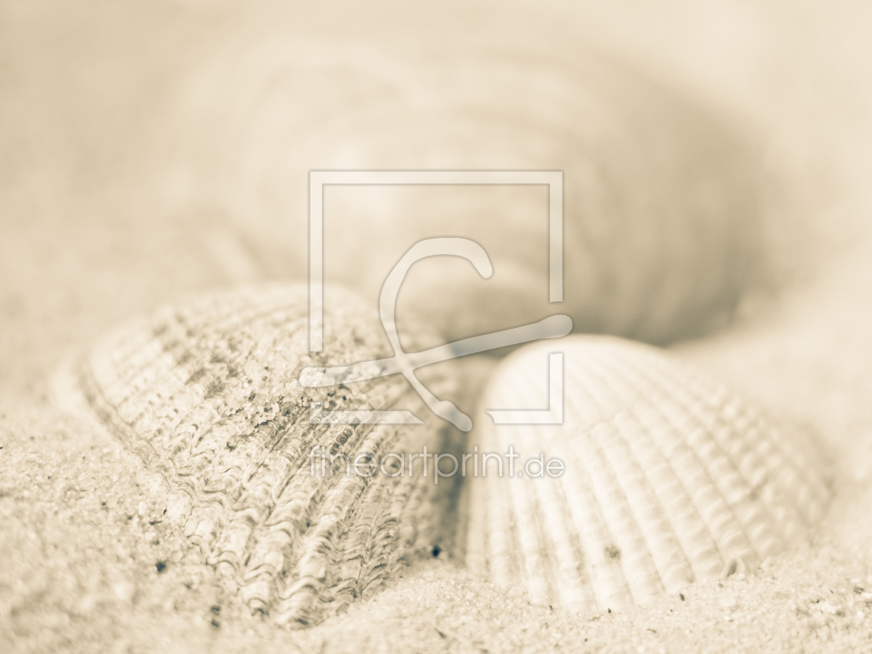 Bild-Nr.: 10497533 Strandschätze erstellt von MBuecker