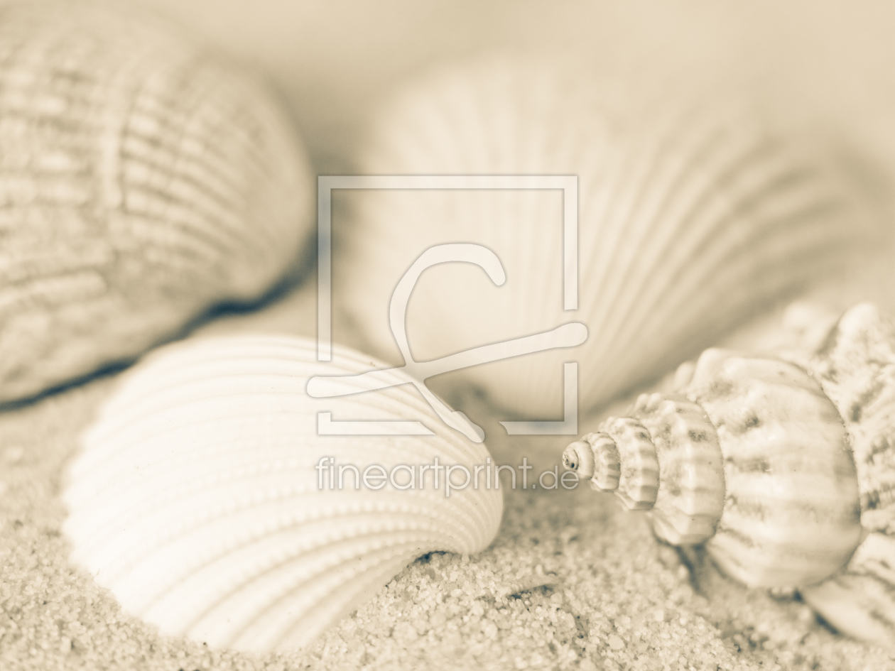 Bild-Nr.: 10498311 Strandschätze erstellt von MBuecker